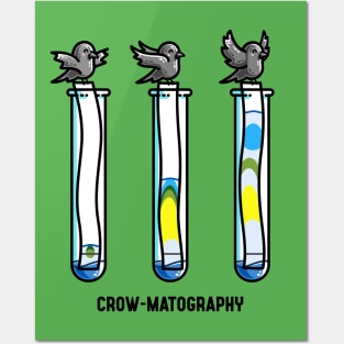 Chromatography Chemistry Pun Posters and Art